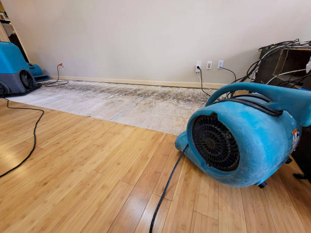 Professional Structural Drying technician working in Stamford, TX